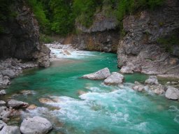 image22